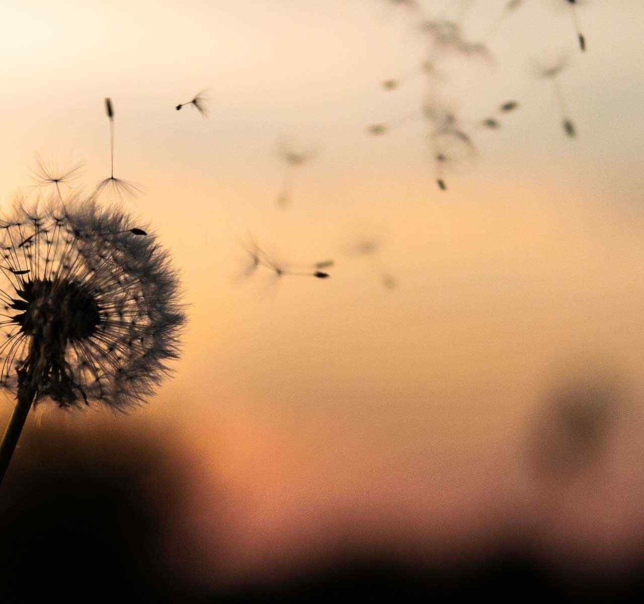 https://capattoadvocacia.com.br/wp-content/uploads/2018/09/post_02-1280x1200.jpg